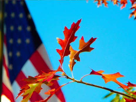 RVs As An Affordable Housing for Zephyrhills Veterans