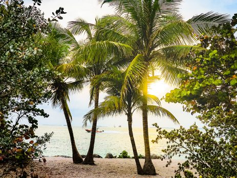 Zephyrhills By The Season